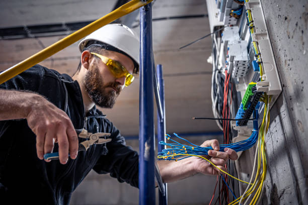 Best Electric Panel Repair  in Wytheville, VA
